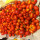 preview image9 nostri prodotti